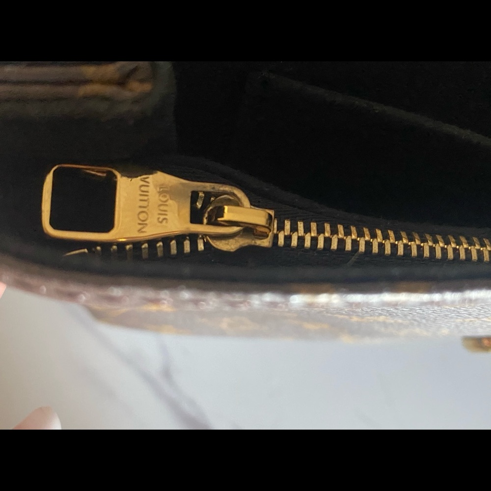 Louis Vuitton Saint-Placide Python - image 5